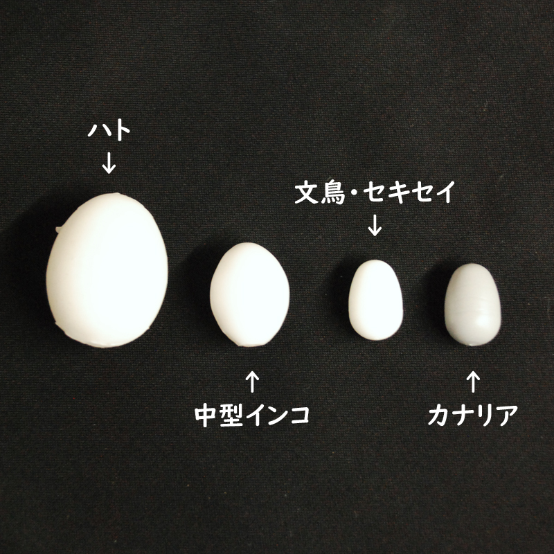擬卵